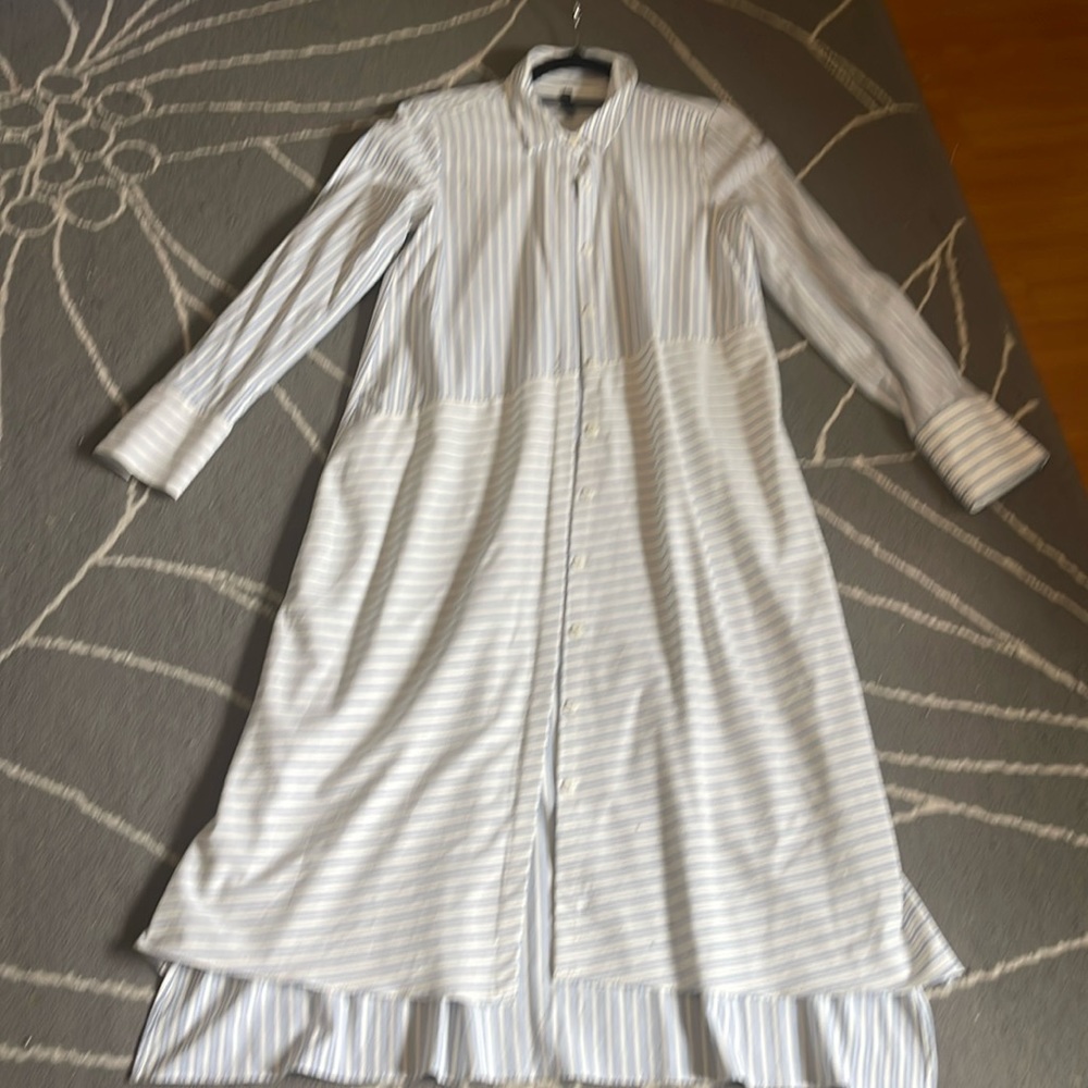 Zara TRF stripe shirt dress